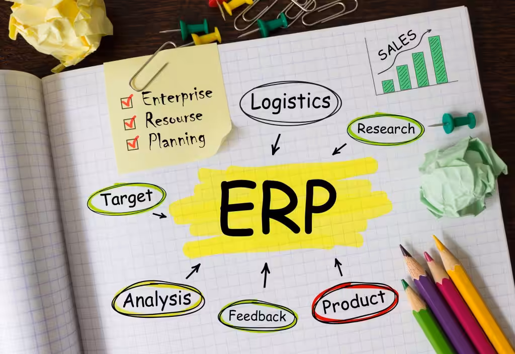 Schema ERP con parole chiave evidenziate
